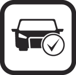 Winter-Check Ikon Winter-Check